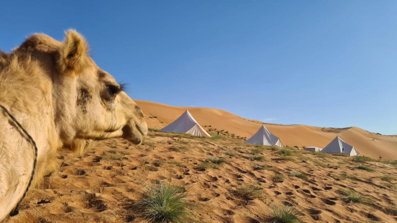 Desert Moments Glamping - Full Privacy Badīyah Eksteriør bilde